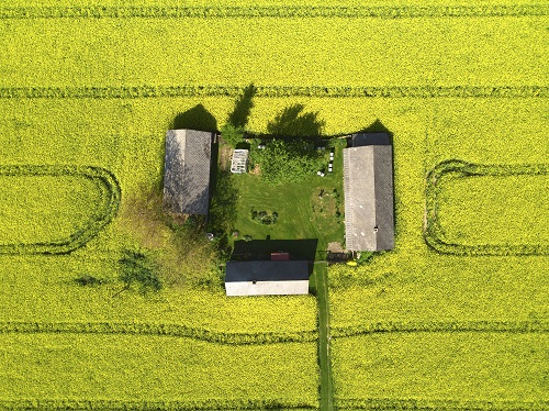 nagrodzona praca-I miejsce, na zdjęciu zielona trawa i w środku domek na terenie powiatu świdnickiego
